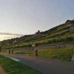 Σπίτι διακοπών Weinberghaus - Wohnen Im Weinberg In Der Toskana Des Nordens