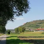Weinberghaus - Wohnen Im Weinberg In Der Toskana Des Nordens *