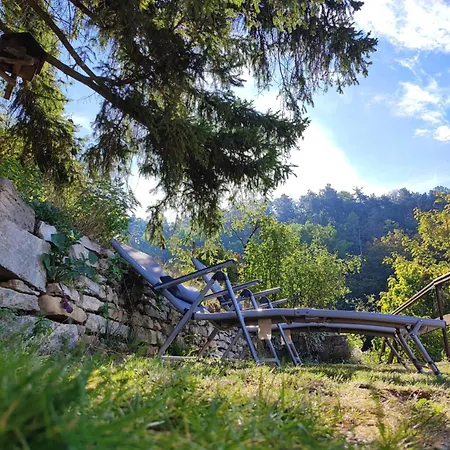 Semesterbostad Weinberghaus - Wohnen Im Weinberg In Der Toskana Des Nordens *