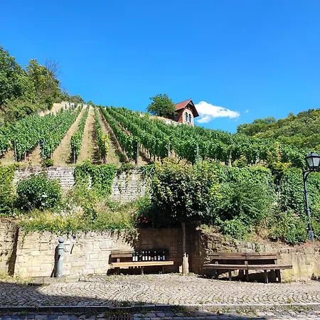 Weinberghaus - Wohnen Im Weinberg In Der Toskana Des Nordens 別荘 *