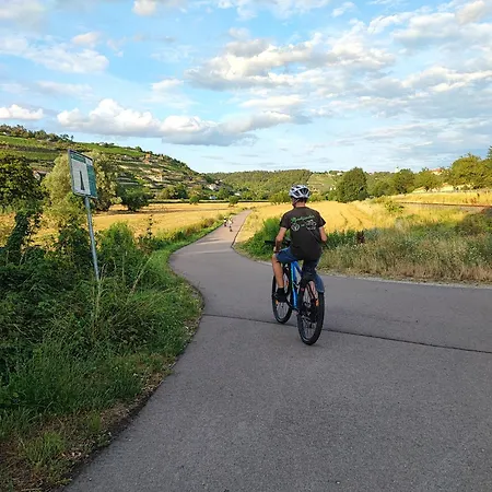 Weinberghaus - Wohnen Im Weinberg In Der Toskana Des Nordens *