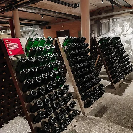 Weinberghaus - Wohnen Im Weinberg In Der Toskana Des Nordens * Freyburg