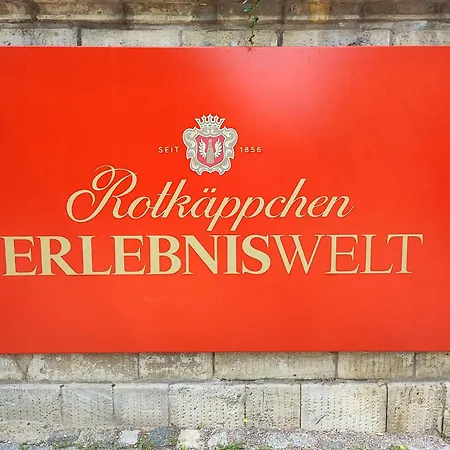 Weinberghaus - Wohnen Im Weinberg In Der Toskana Des Nordens * Freyburg
