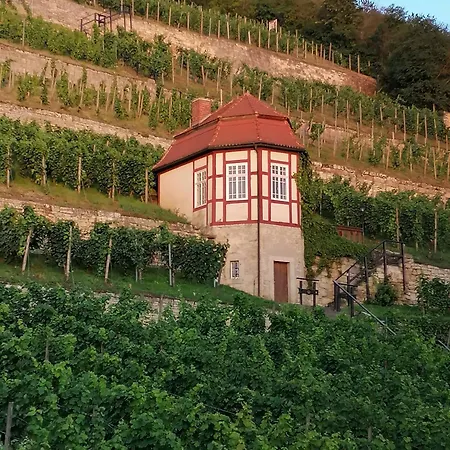 Weinberghaus - Wohnen Im Weinberg In Der Toskana Des Nordens Semesterbostad