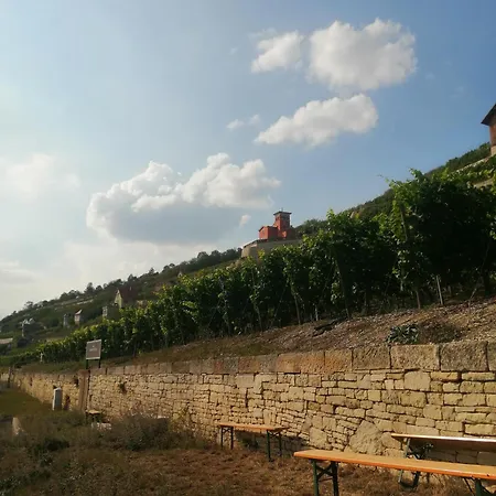 Weinberghaus - Wohnen Im Weinberg In Der Toskana Des Nordens * Freyburg