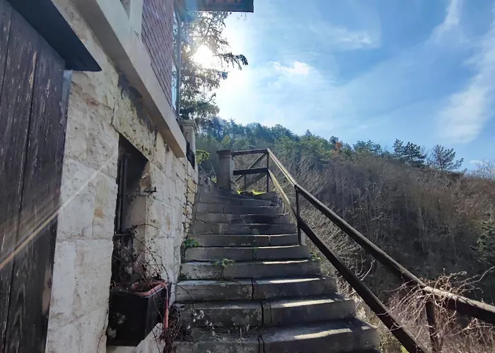 Weinberghaus - Wohnen Im Weinberg In Der Toskana Des Nordens * Freyburg