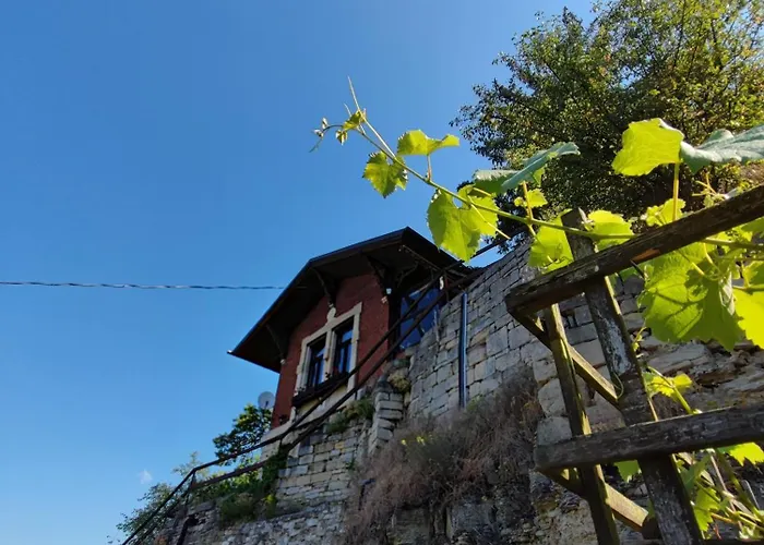 Weinberghaus - Wohnen Im Weinberg In Der Toskana Des Nordens *