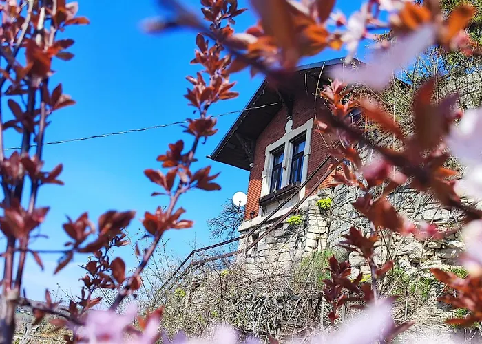 Weinberghaus - Wohnen Im Weinberg In Der Toskana Des Nordens * Freyburg