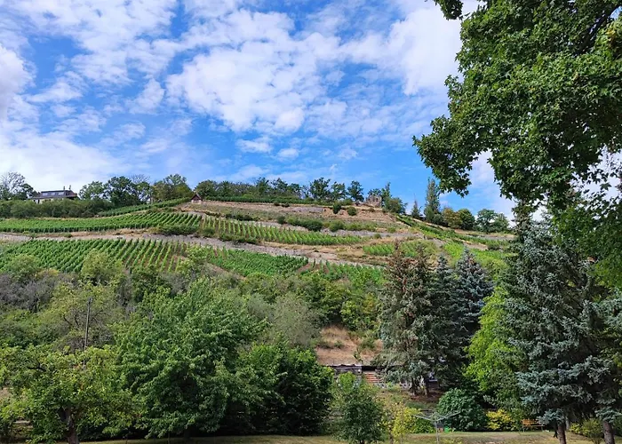 Weinberghaus - Wohnen Im Weinberg In Der Toskana Des Nordens Freyburg