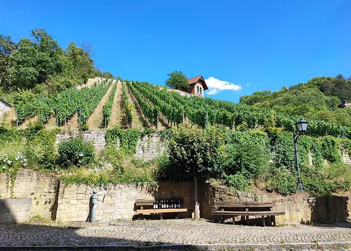 Weinberghaus - Wohnen Im Weinberg In Der Toskana Des Nordens Tatil Evi *