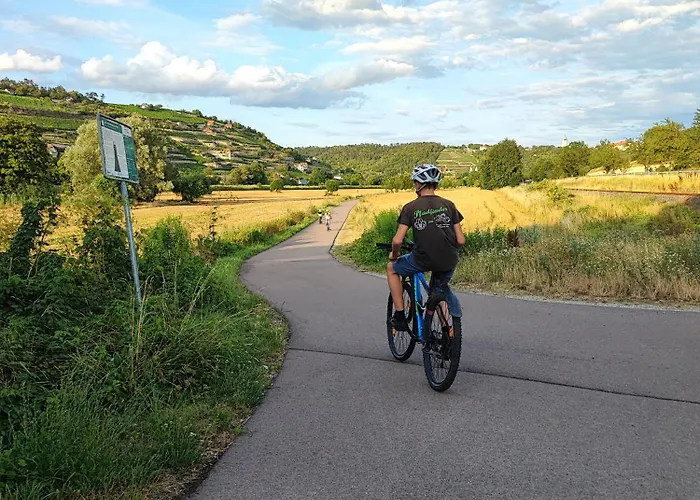 Weinberghaus - Wohnen Im Weinberg In Der Toskana Des Nordens *