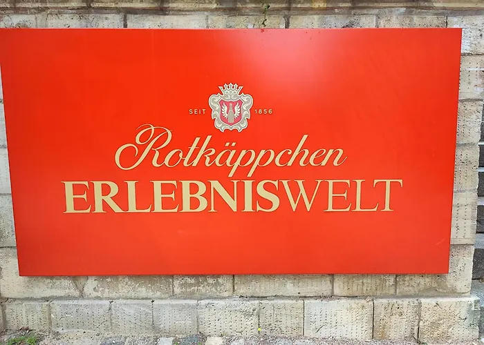 Weinberghaus - Wohnen Im Weinberg In Der Toskana Des Nordens * Freyburg