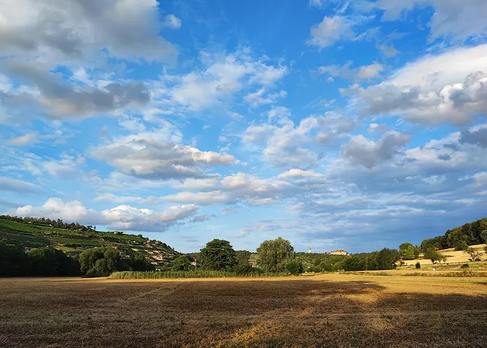 Weinberghaus - Wohnen Im Weinberg In Der Toskana Des Nordens Tatil Evi *